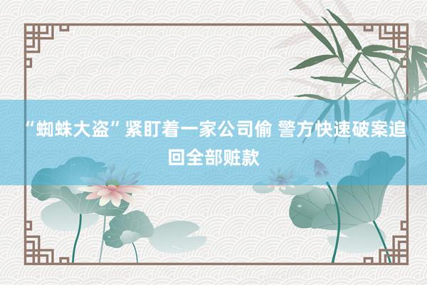 “蜘蛛大盗”紧盯着一家公司偷 警方快速破案追回全部赃款