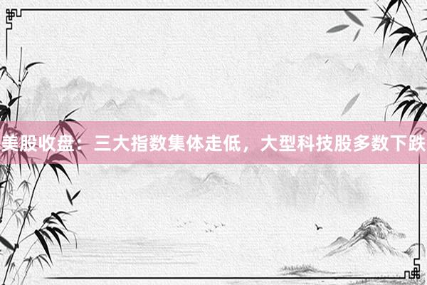 美股收盘：三大指数集体走低，大型科技股多数下跌
