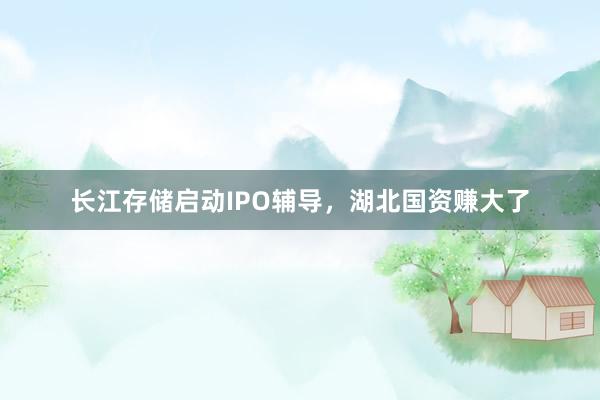 长江存储启动IPO辅导，湖北国资赚大了